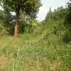 Plot of Land for Sale at Namulonge