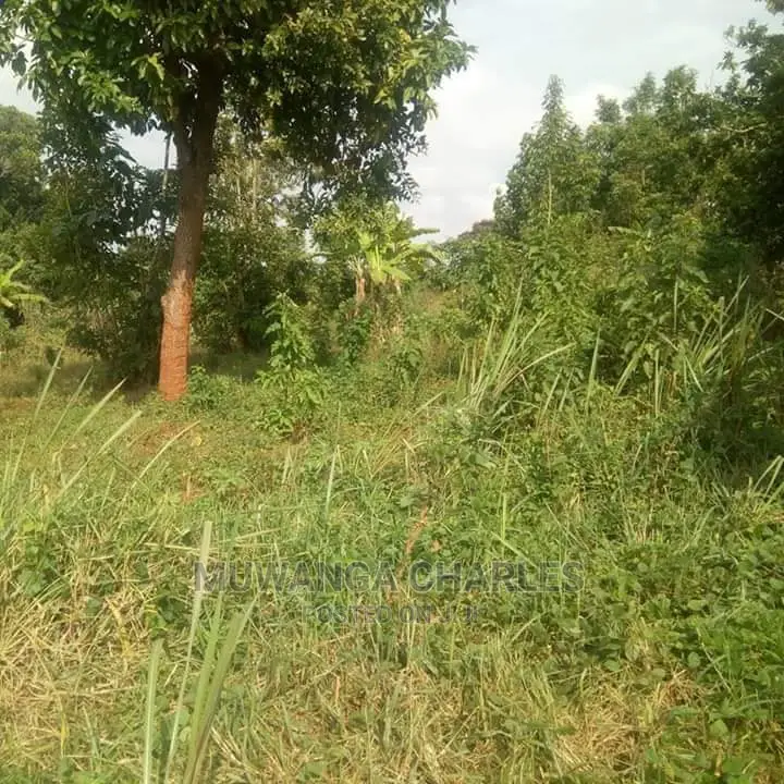 Plot of Land for Sale at Namulonge