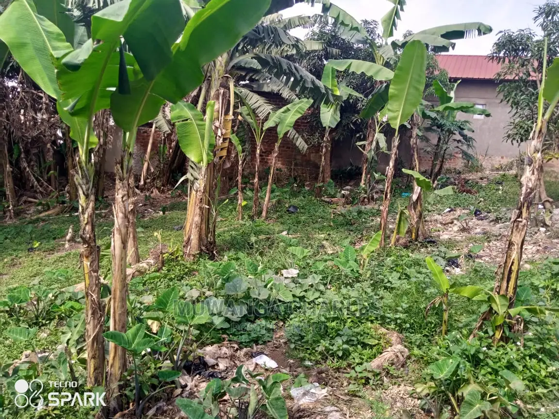 100by50ft Plot of Land for Sale at Kawanda