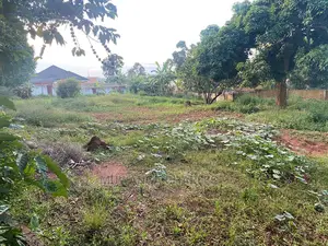 100by50ft Plot of Land for Sale at Gayaza Nakwero