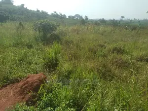 100by50ft Plot of Land for Sale at Kira Shimon