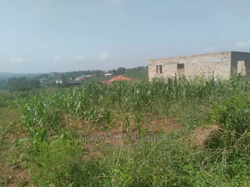 100by50ft Plot of Land for Sale at Kira Shimon