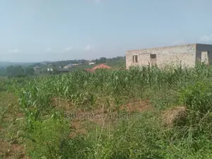 100by50ft Plot of Land for Sale at Kira Shimon