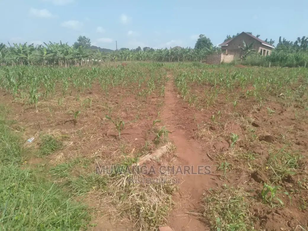 100by50ft Plot of Land for Sale at Kira Shimon