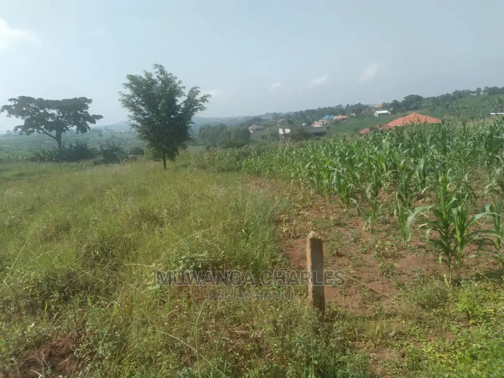 100by50ft Plot of Land for Sale at Kira Shimon
