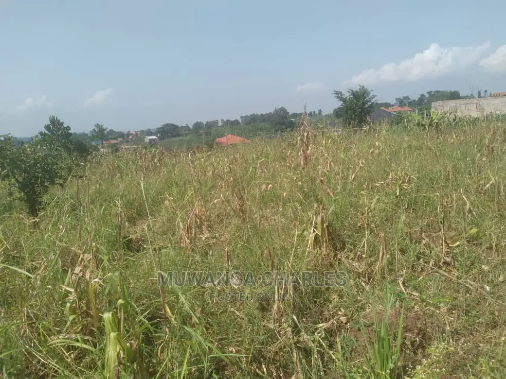 100by50ft Plot of Land for Sale at Kira Shimon