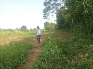 2acres for Sale at Zirobwe