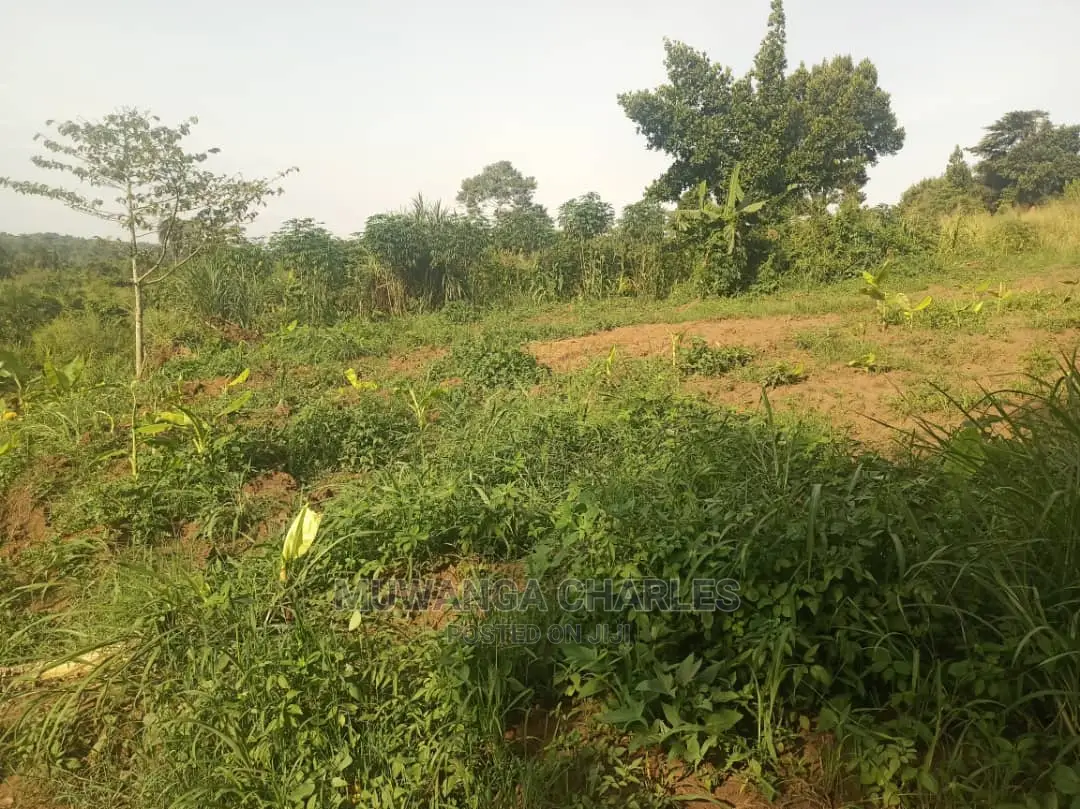 2acres for Sale at Zirobwe