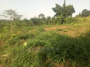 2acres for Sale at Zirobwe