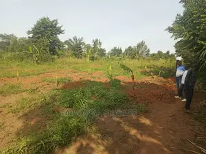 2acres for Sale at Zirobwe