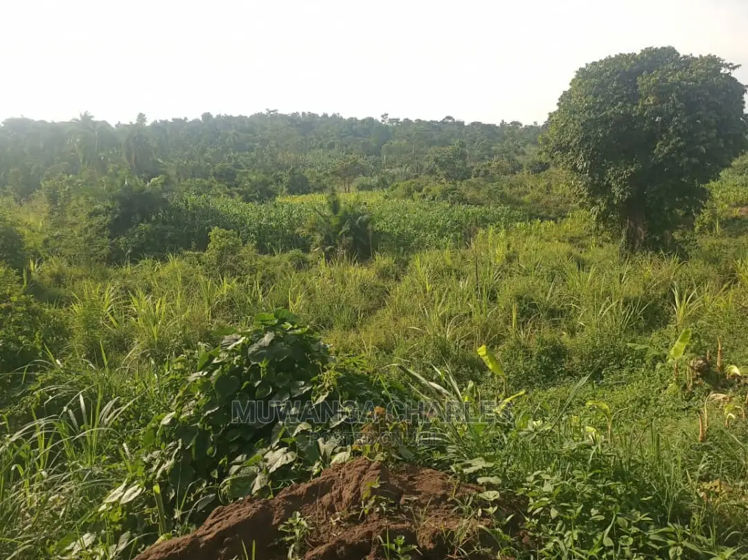 2acres for Sale at Zirobwe