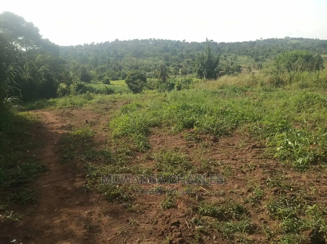 2acres for Sale at Zirobwe