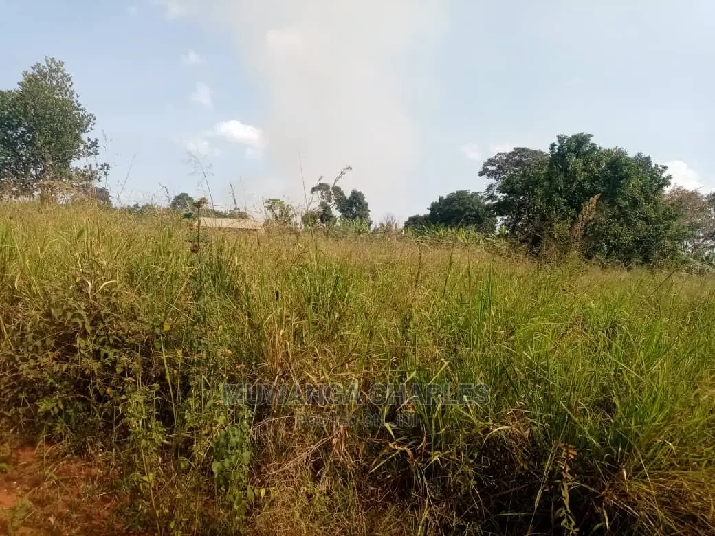 10acres for Sale at Luwero