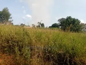 10acres for Sale at Luwero