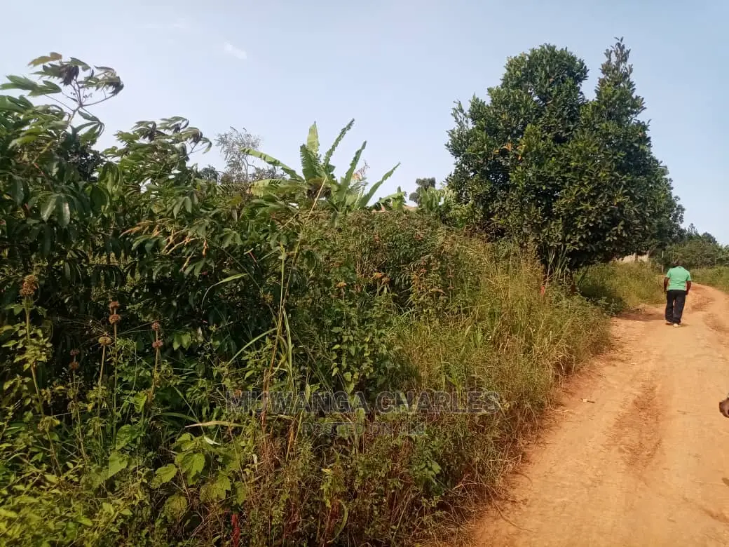 10acres for Sale at Luwero
