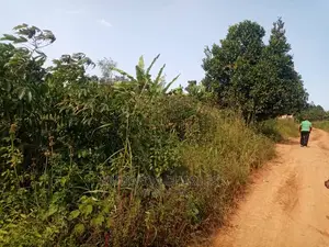 10acres for Sale at Luwero