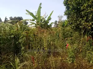 10acres for Sale at Luwero