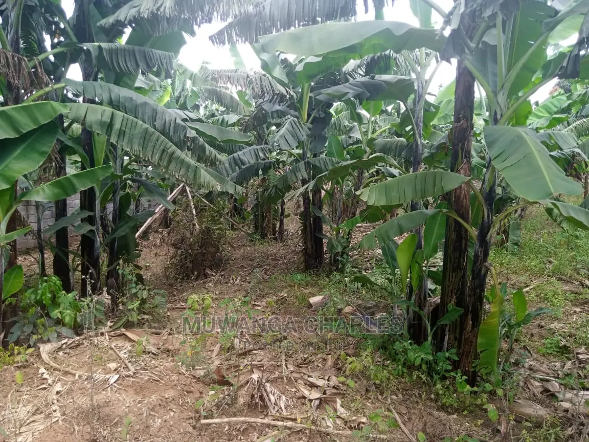 15decimals Plot of Land for Sale at Sonde Misindye