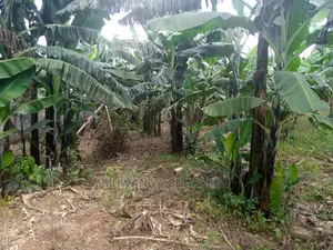 15decimals Plot of Land for Sale at Sonde Misindye