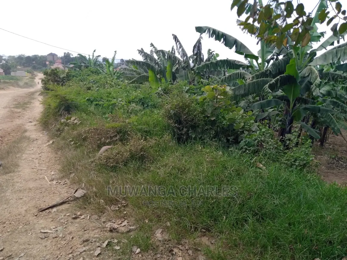 15decimals Plot of Land for Sale at Sonde Misindye