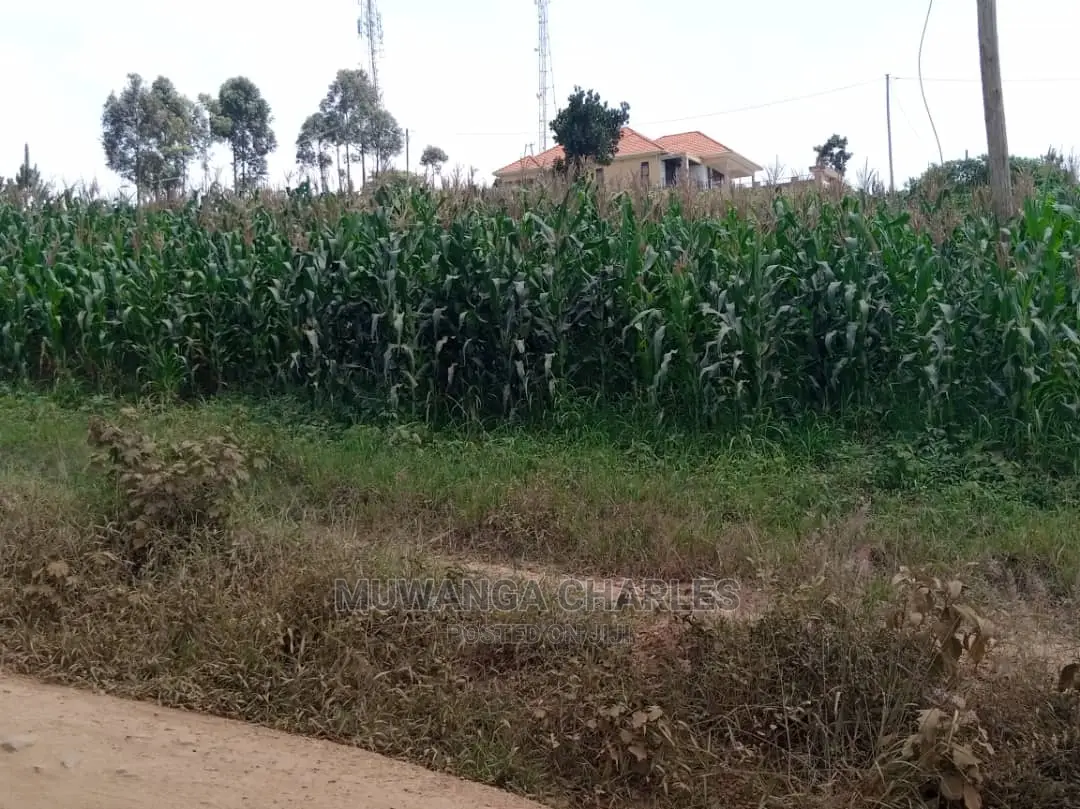 15decimals Plot of Land for Sale at Sonde Misindye