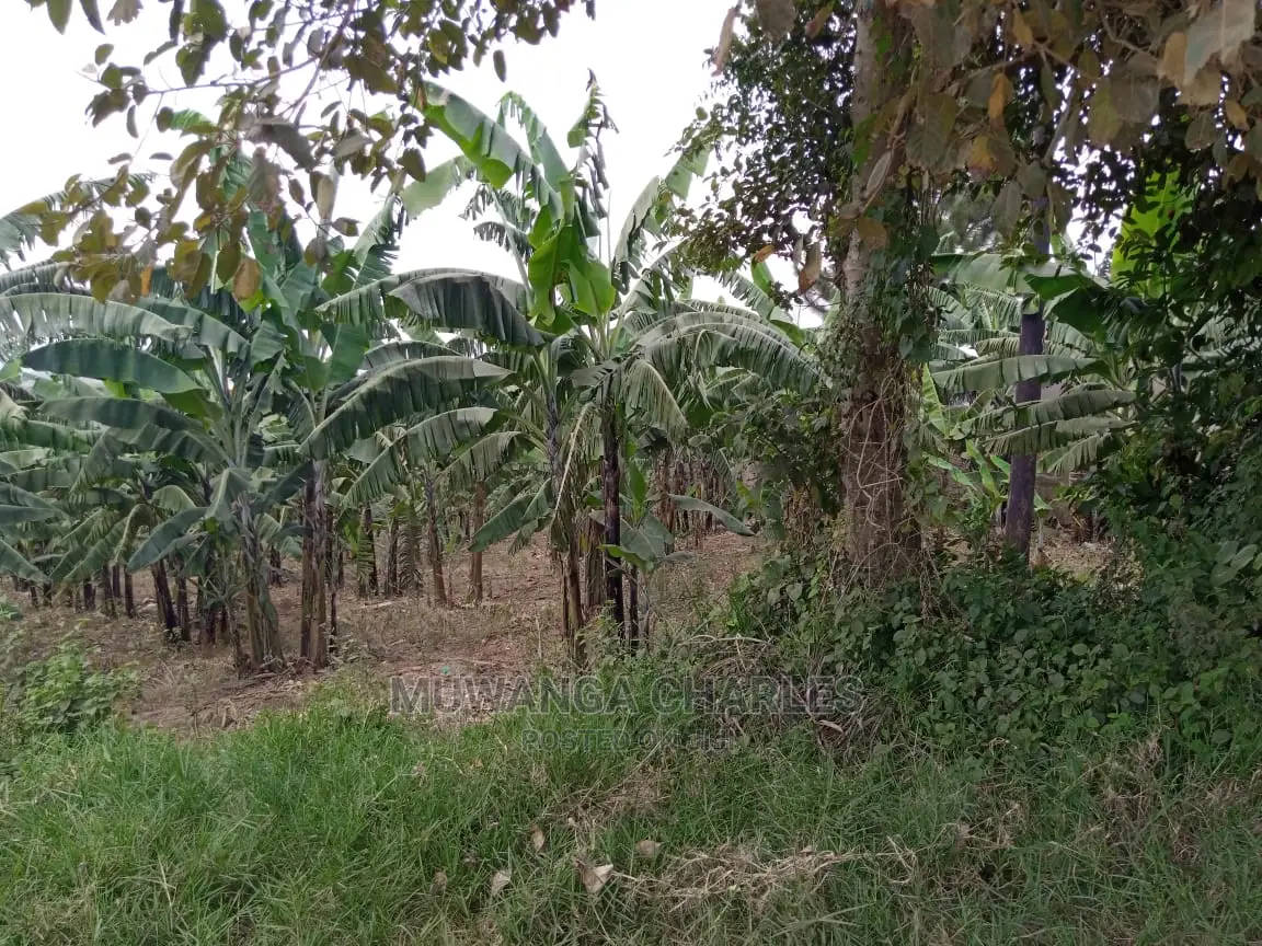 15decimals Plot of Land for Sale at Sonde Misindye