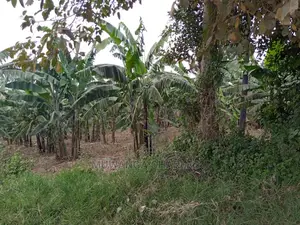 15decimals Plot of Land for Sale at Sonde Misindye