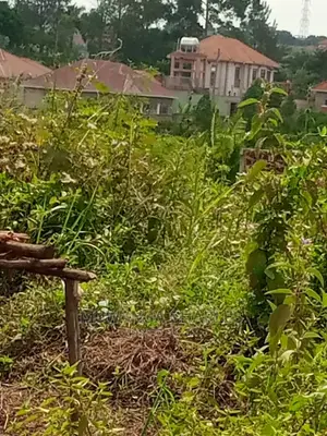 100by50ft Plot of Land for Sale at Kira