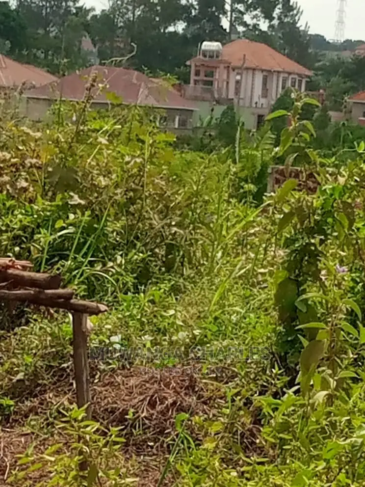 100by50ft Plot of Land for Sale at Kira
