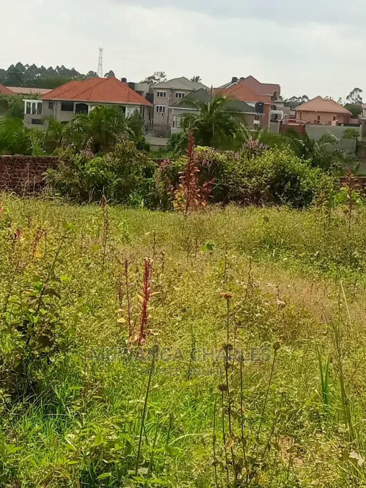 100by50ft Plot of Land for Sale at Kira