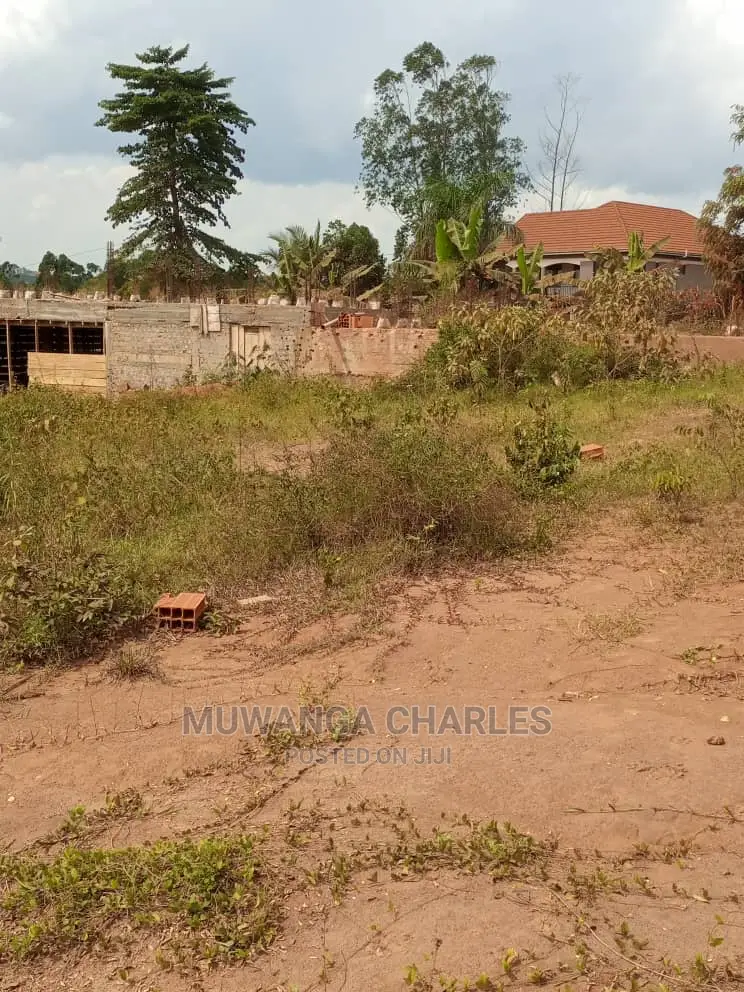 100by50ft Plot of Land for Sale at Kira