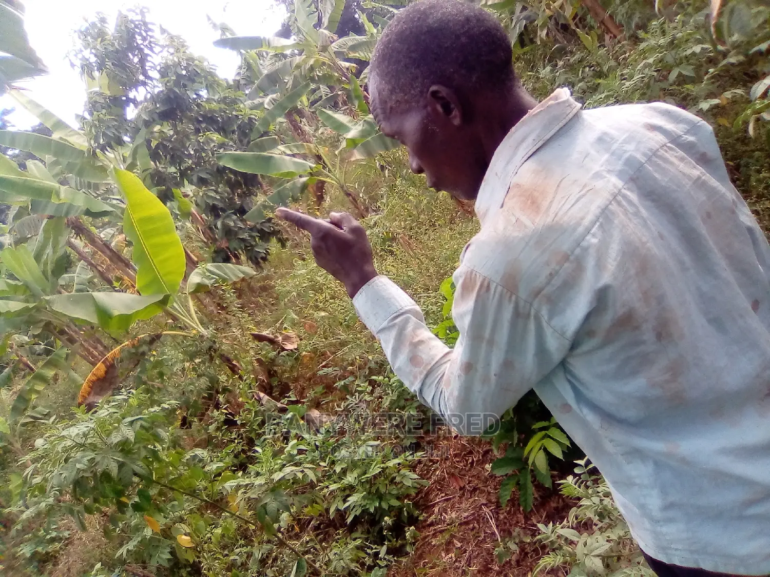 100/100 Plot for Sale in Kira Mulawa