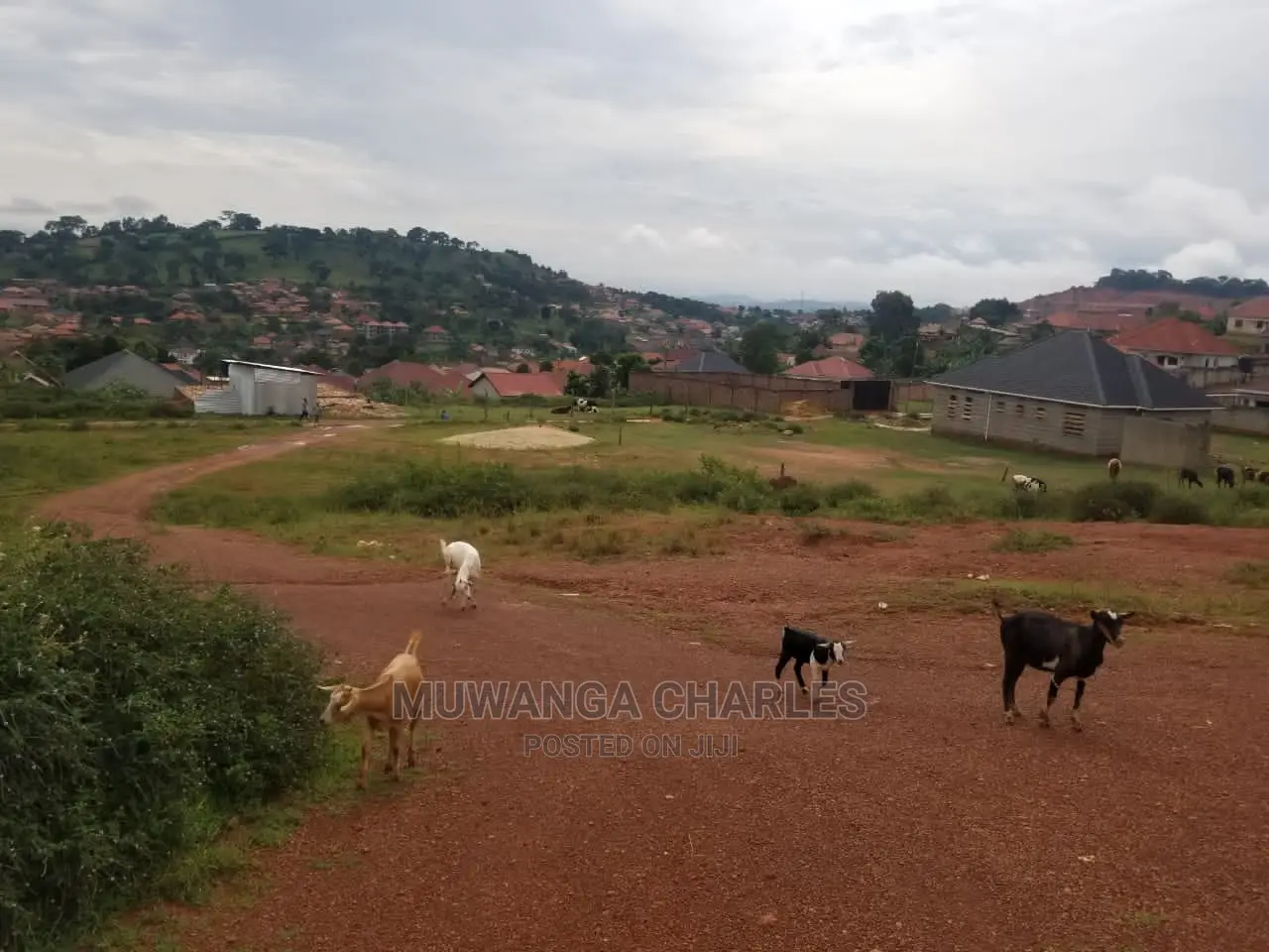 100by100ft Plot for Sale at Kira