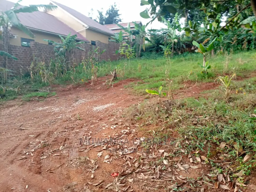 100by50ft Plot of Land for Sale at Buwate
