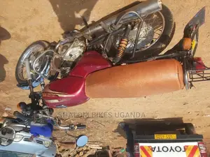 Bajaj CT 110X 2019 Red