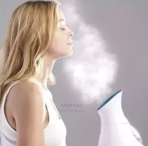 Facial Steamer