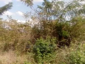 30acres of Land for Sale at Zirobwe Kikyusa
