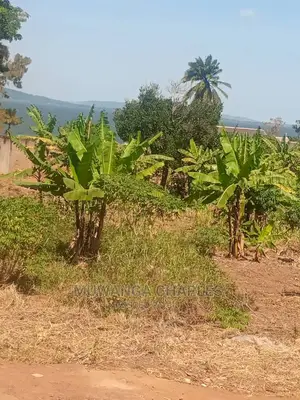 100by100ft Plot of Land for Sale and Garuga