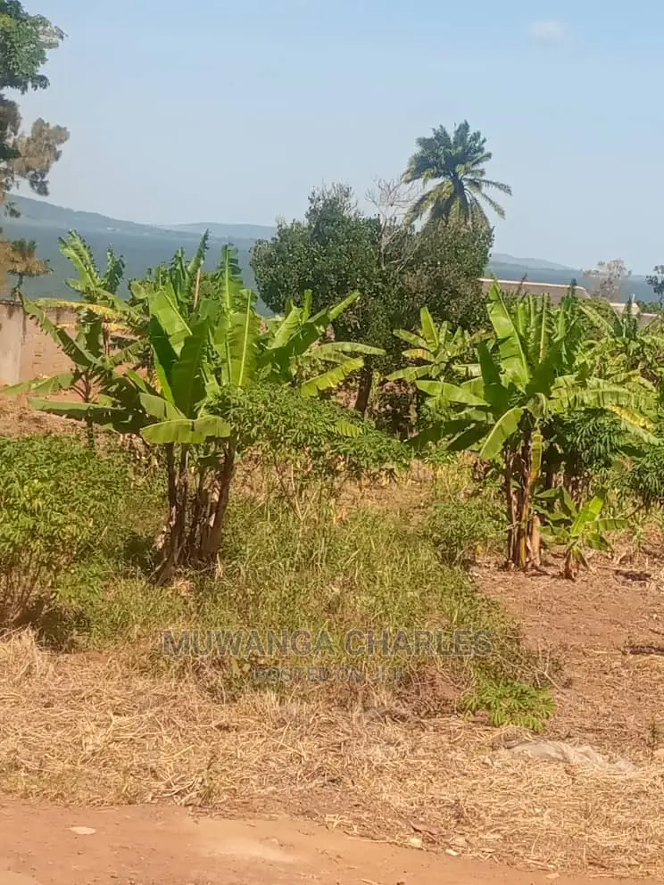 100by100ft Plot of Land for Sale and Garuga