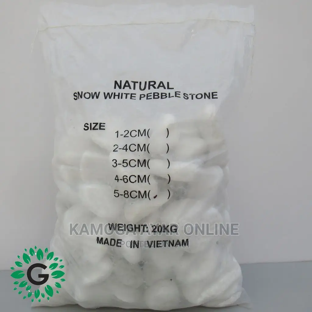 Beach White Stones