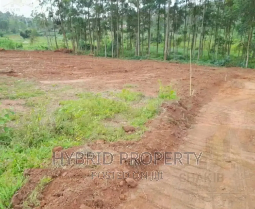 Plots for Sale at Sumba~Kitemu II Land Estate~Masaka Road.