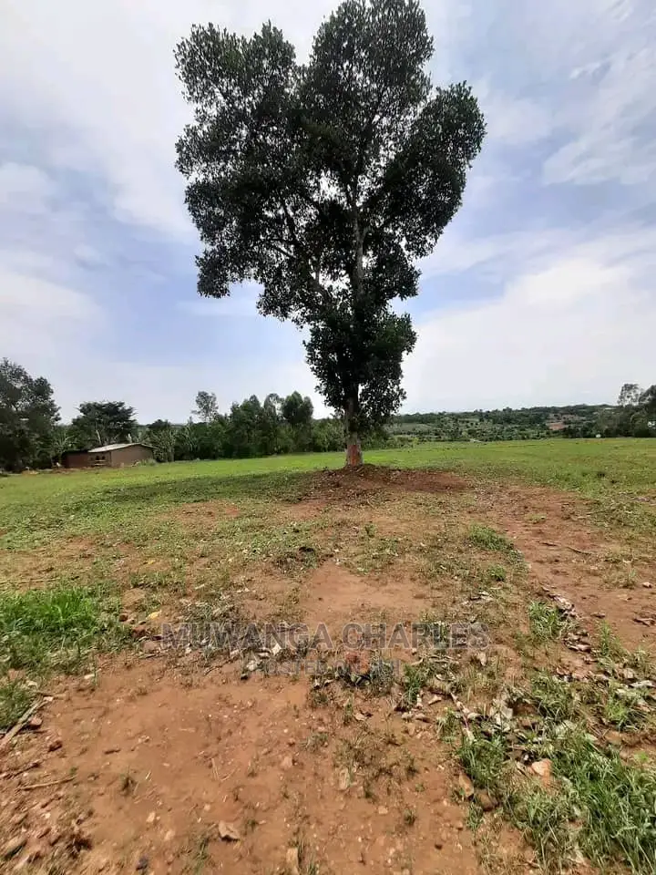 50decimals Plot of Land for Sale at Kira