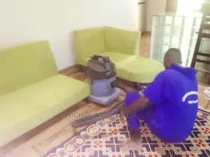 Both Sofas and Carpet Cleaning at Low Price