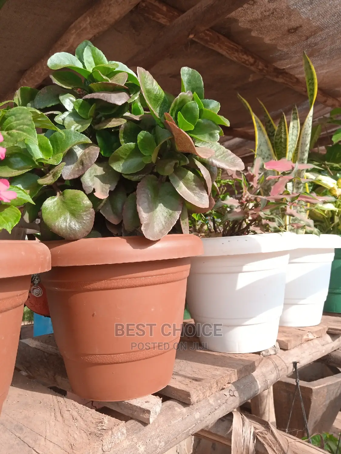 Concrete Pots,Plastic Planters, Customized Concrete Planters