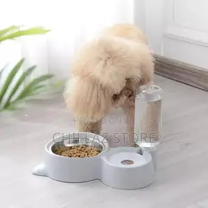 Automatic Pet Feeder