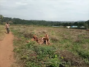 2acres of Land for Sale at Zirobwe Janda