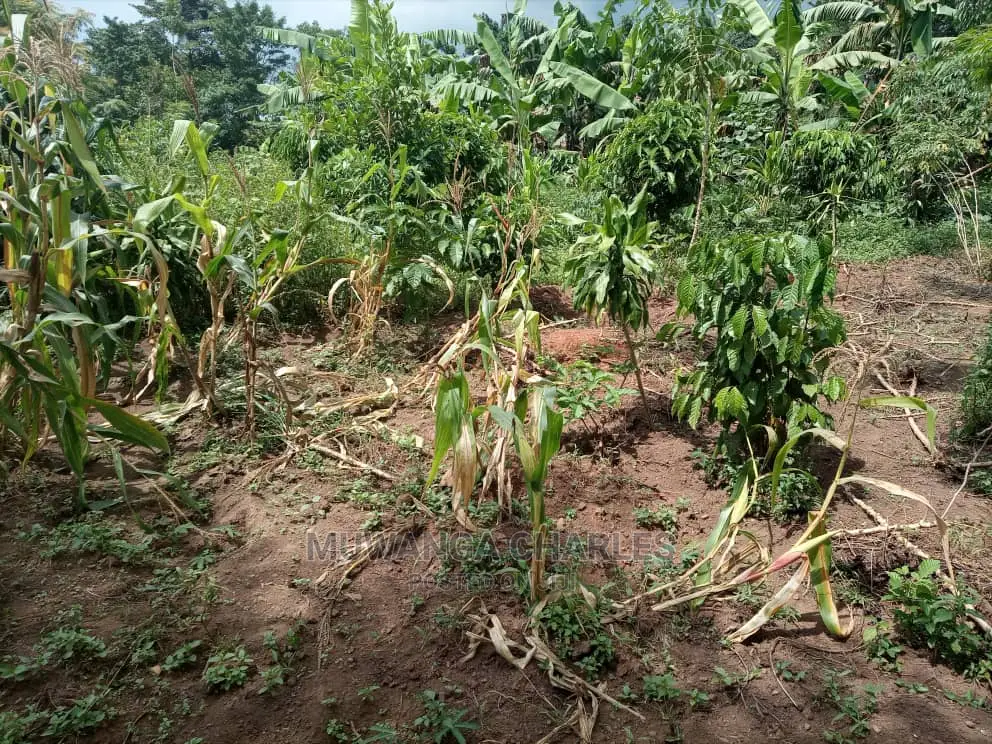 2acres of Land for Sale at Zirobwe Janda