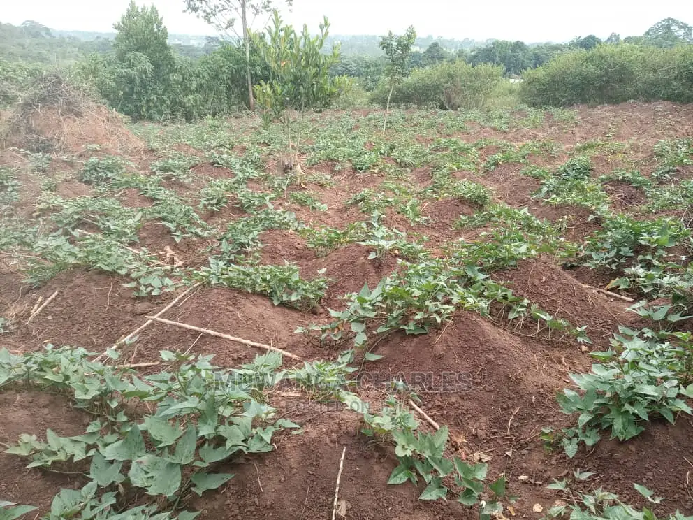 2acres of Land for Sale at Zirobwe Janda