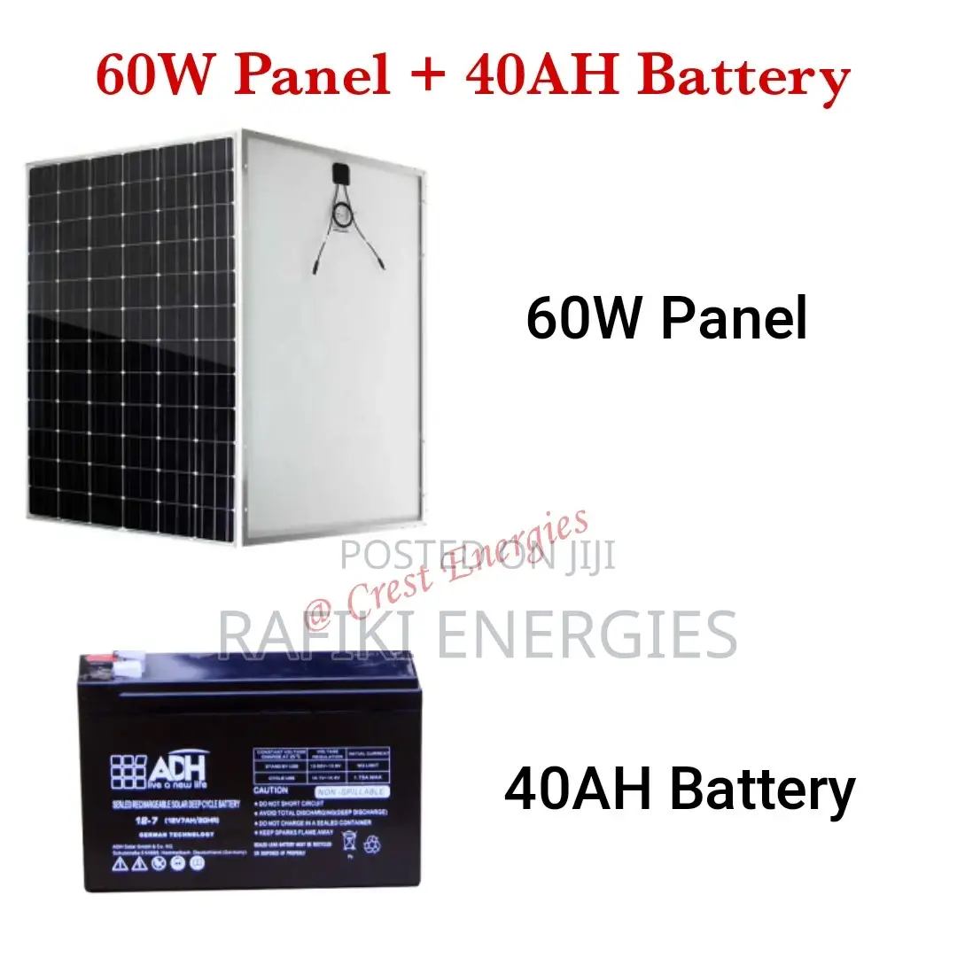 60W Panel 40AH Battery