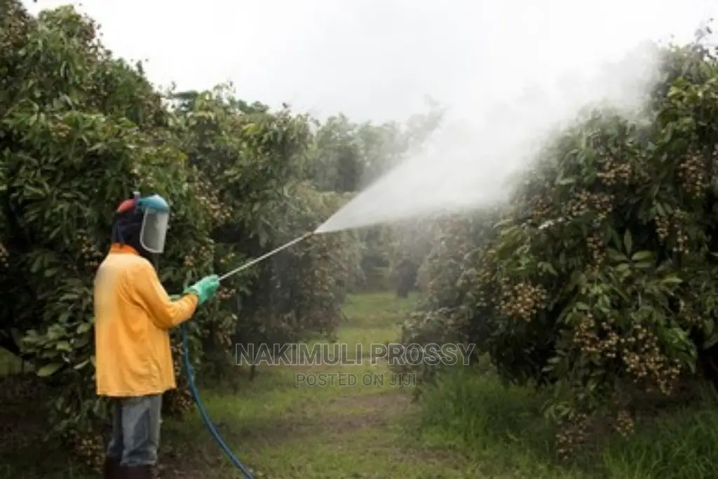 Outdoor Fumigation
